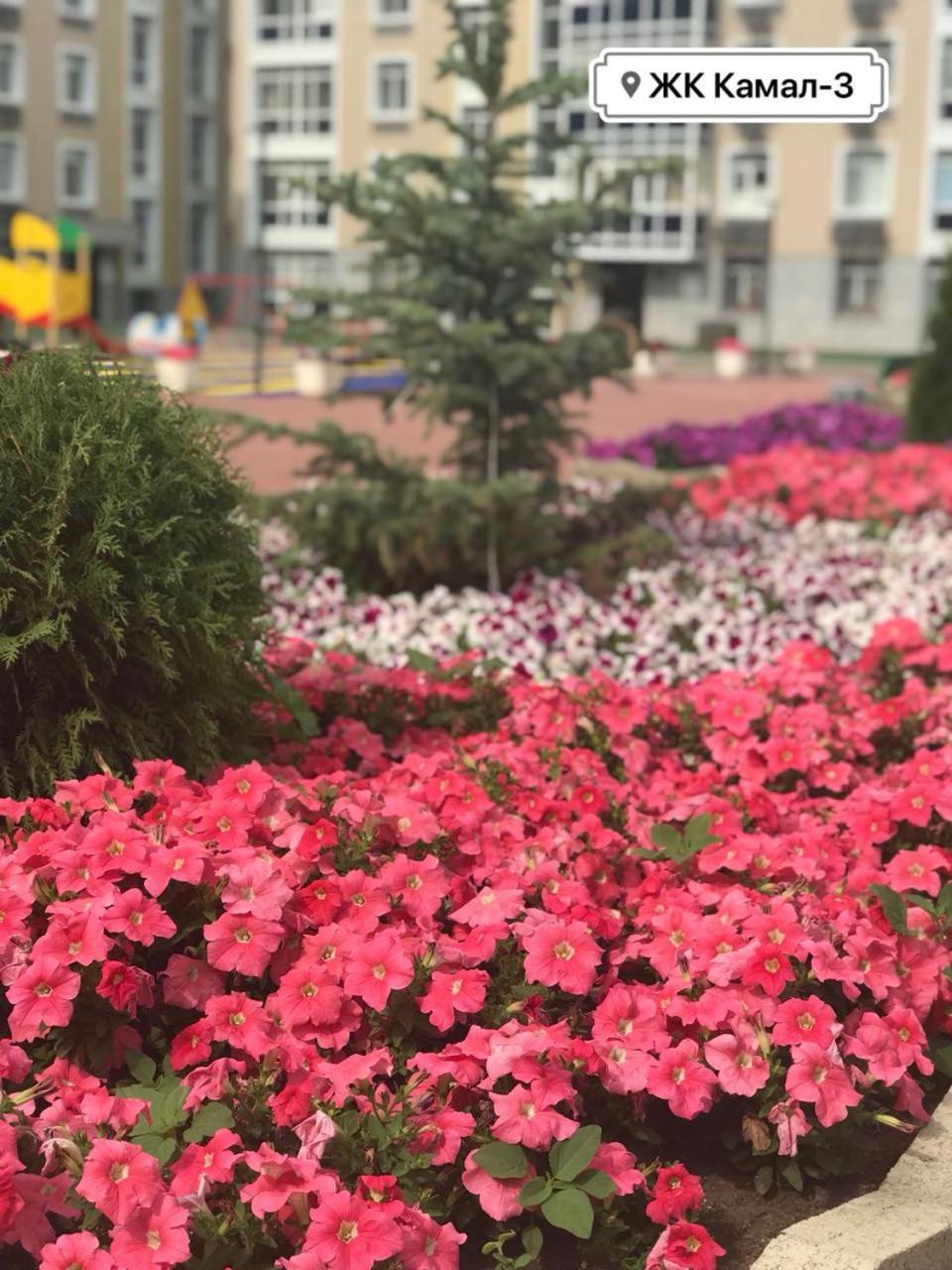 Однокомнатная Astana Exterior foto